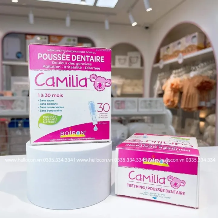 Camilia